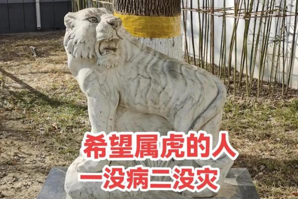 1986年结婚吉日女(86年虎2020年结婚吉日)