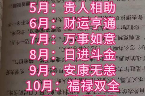 2025结婚吉日大全属狗(2022年狗结婚)
