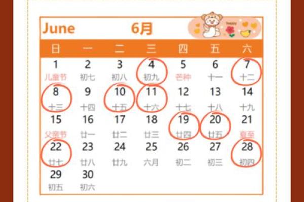2025年六月初八结婚日子好不(2025年六月初八结婚日子好不好)