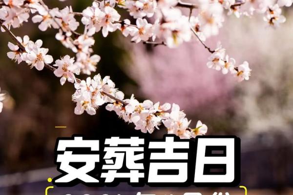 2026年5月安葬最佳时间表 五月下葬黄道吉日推荐