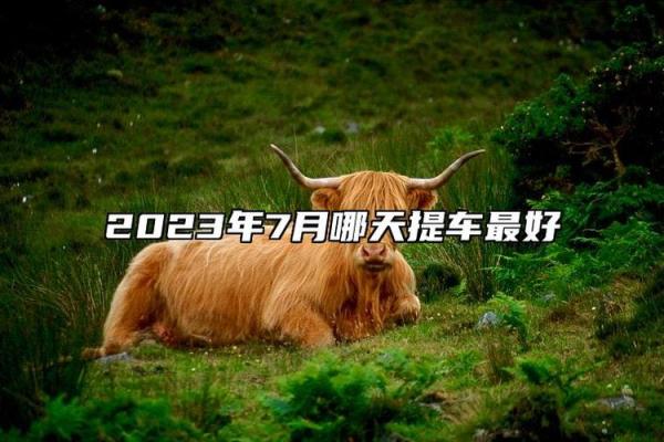 七月提车吉日有哪些 7月份适合提新车的黄道吉日