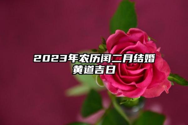 2026农历2月最佳结婚日期 2026年闰二月结婚黄道吉日
