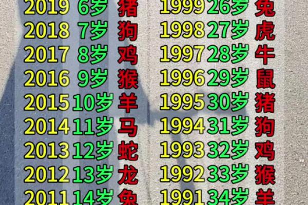 2026年6月生肖虎双子座求医疗病吉日:就医方向选择 2026年6月生肖虎双子座求医疗病吉日:就医方向选择