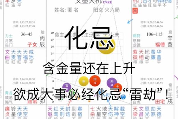 2024年太阳化忌：探寻天象变化的深远影响 太阳化忌化解