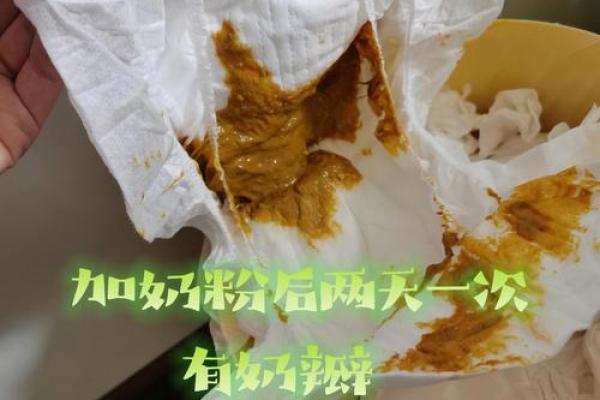 女人梦见拉屎,并看到屎;女人梦见拉屎,并看到屎弄到手上