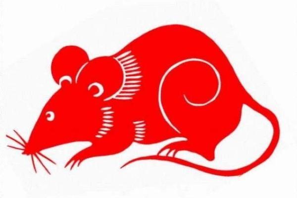 梦见老鼠是什么意思_周公梦见老鼠是什么意思