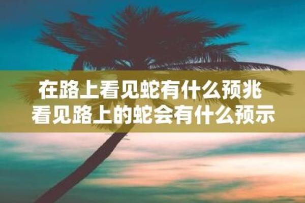 梦见好多蛇是什么预兆_梦见好多蛇还被咬了一口预示着什么