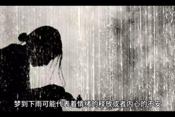 梦见下雨-梦见下雨路难走