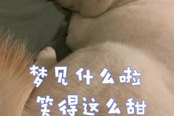 梦见小女孩是什么意思_梦见小女孩是什么意思把多大的孩子叫婴儿