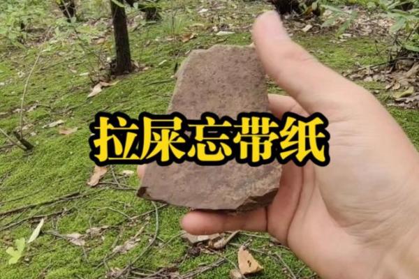 做梦梦到拉屎是什么意思—做梦梦到拉屎是什么意思然后自己又捡起来