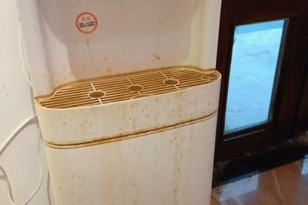 梦见大蟒蛇是什么预兆 男性;梦见大蟒蛇是什么预兆 男性狂飙什么电视来的