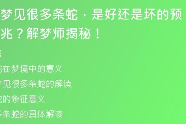 女人梦见蛇很害怕预示着什么-女人梦见蛇的七大预兆