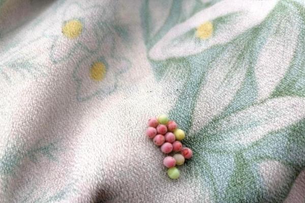 女人梦到蠕动的软体虫子、女人梦到蠕动的软体虫子的寓意
