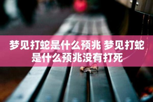 怀孕梦到蛇预示着什么,怀孕梦到蛇预示着什么意思周公解梦