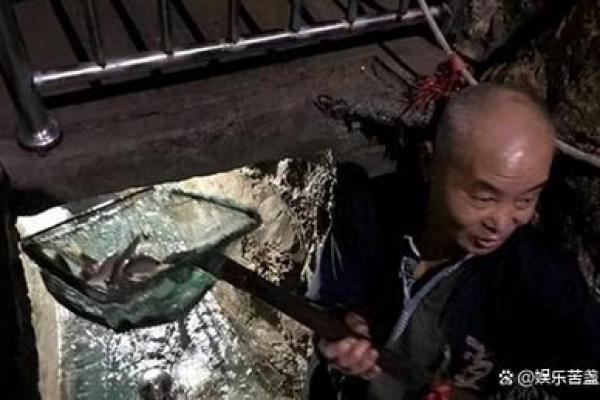 梦见抓鱼是什么意思有什么预兆,梦见抓鱼是什么意思有什么预兆孕妇
