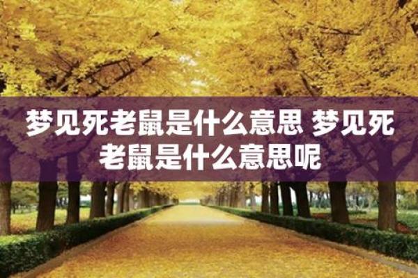 做梦梦到自己死了是什么意思_做梦梦到自己死了是什么意思男人