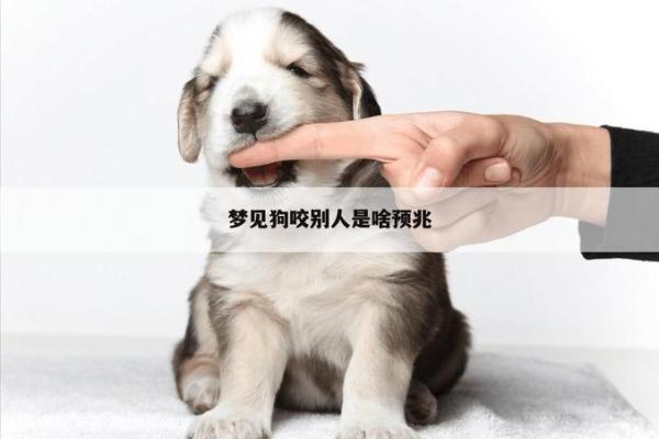 女人梦见狗咬自己是吉兆、梦见狗咬自己是什么意思