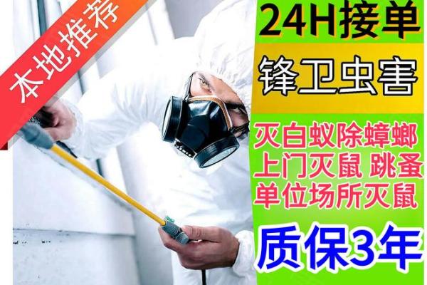 梦到老鼠_梦到老鼠和蟑螂