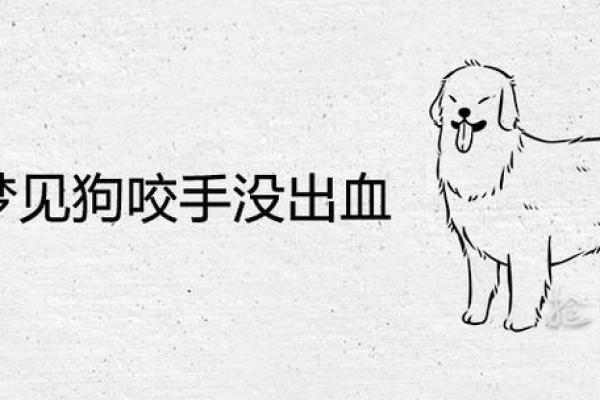 梦到被够狗咬是什么意思-做梦梦到狗咬手什么意思