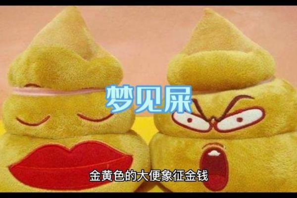 梦到屎是什么意思-一晚上梦到屎是什么意思
