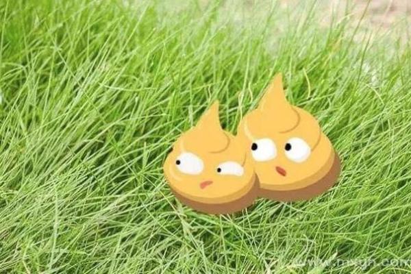 梦见屎,梦见屎弄在身上