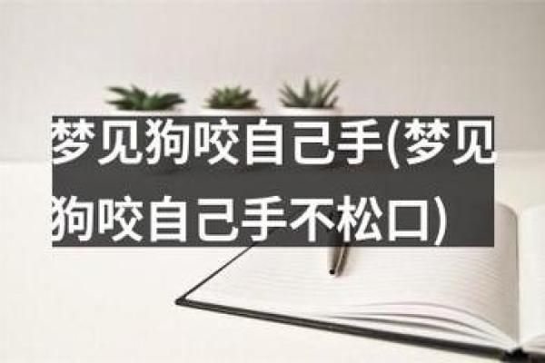 梦到狗—梦到狗是什么征兆