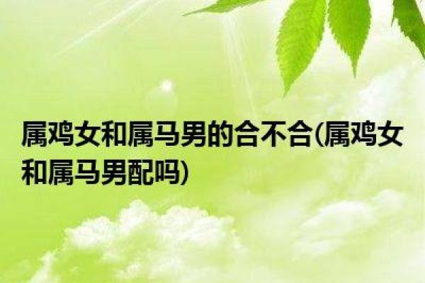 属马的是哪年出生的 属鸡的是哪年出生的