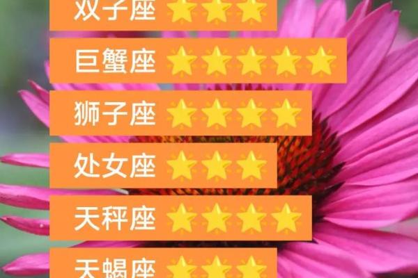 双子座和狮子座的配对指数是多少 双鱼座和双子座配对指数