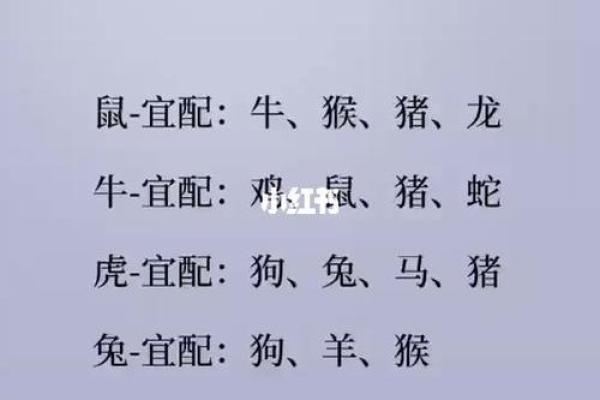 属兔人的最佳婚配属相,属兔人的最佳婚配属相属猪的人今年多大