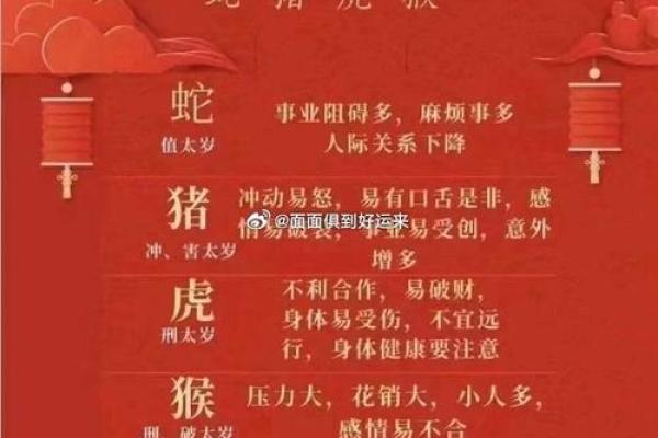 2025年什么属相犯太岁,2025年什么属相犯太岁或者冲太岁
