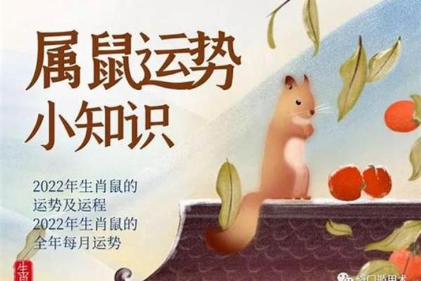 1972年的鼠在2025年的运势(1972年属鼠人2025年运势运程每月运程)