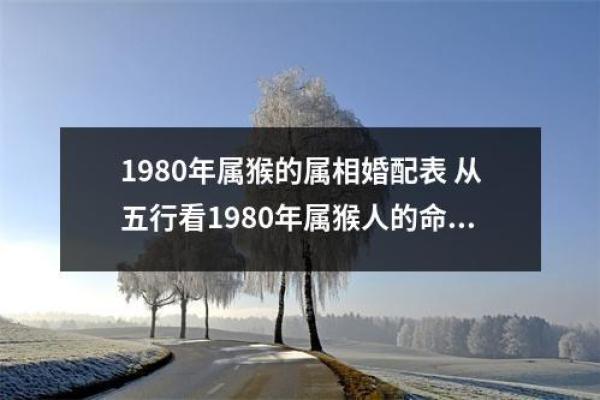 生肖猴和什么生肖最配,生肖猴和什么生肖相冲