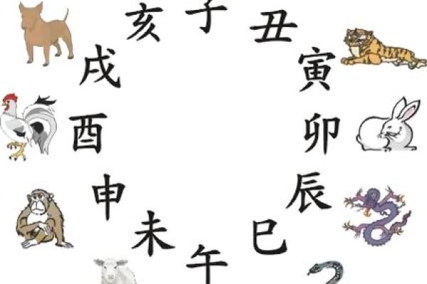 98年属虎男最佳婚配属相(98年属虎男最佳婚配属相是马还是狗)