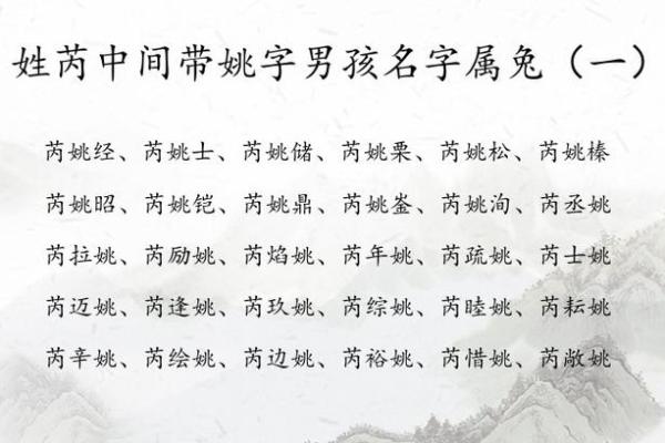 2023年属兔男宝宝取名宜用字(2023年属兔男孩)