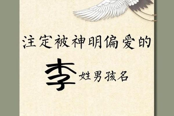 李氏起名大全男孩名字,李氏起名大全男孩名字二字