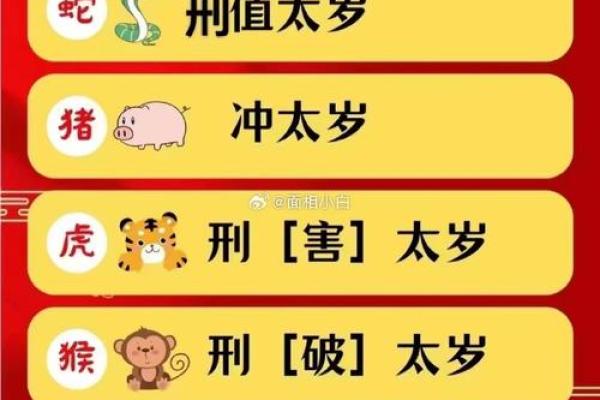 2025年什么属相犯太岁(2025年什么属相犯太岁表)