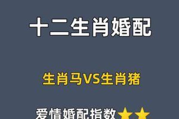 属猪三合和三冲属相(属羊三合和三冲属相)