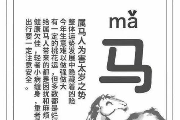 属马女最佳婚配属相 属羊女最佳婚配属相