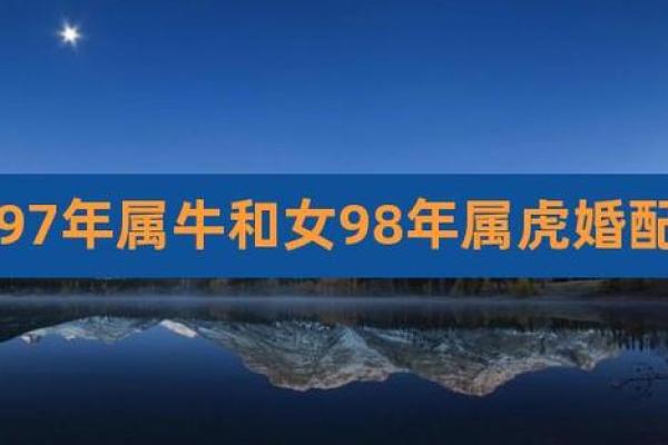 男牛配什么属相最好婚姻(属牛男最佳婚配)