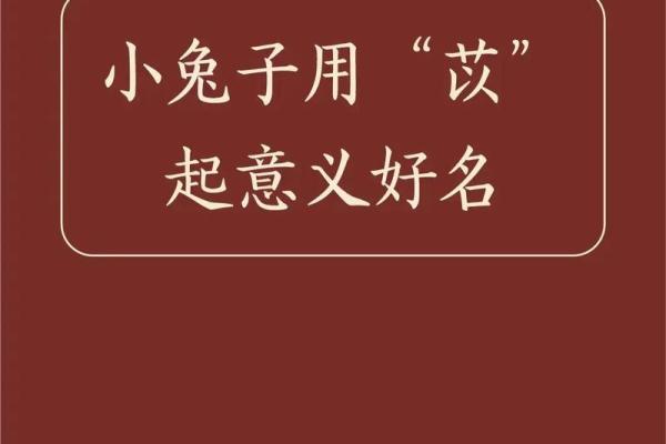 宝宝名字大全2023属兔女孩 宝宝名字大全2023属兔女孩子