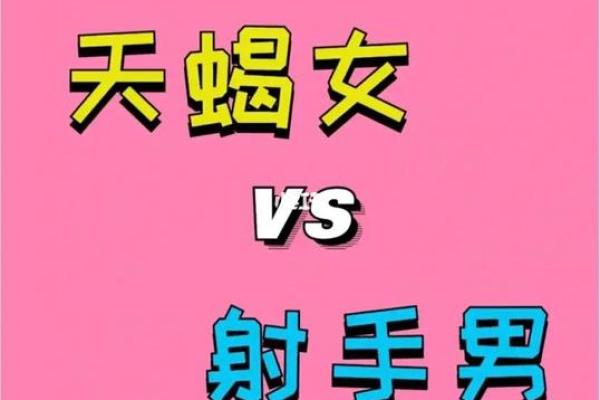 摩羯座和双子座配吗,天蝎座与射手座相配吗