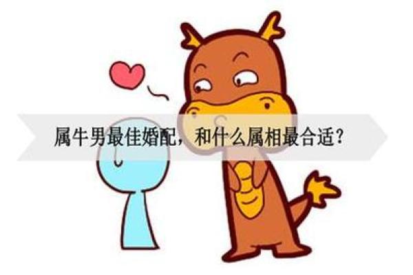 生肖牛和什么生肖最配 生肖牛和什么生肖最配对