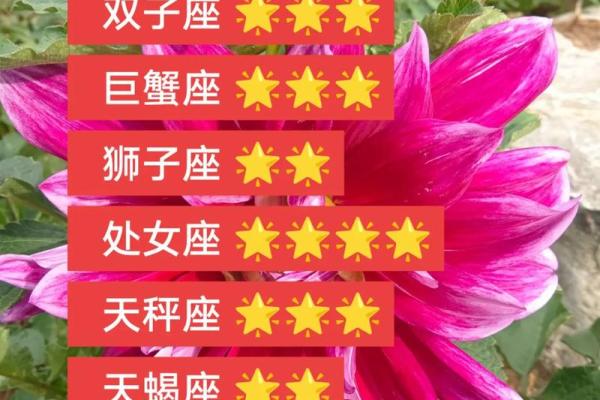 双子座运势 双鱼座运势