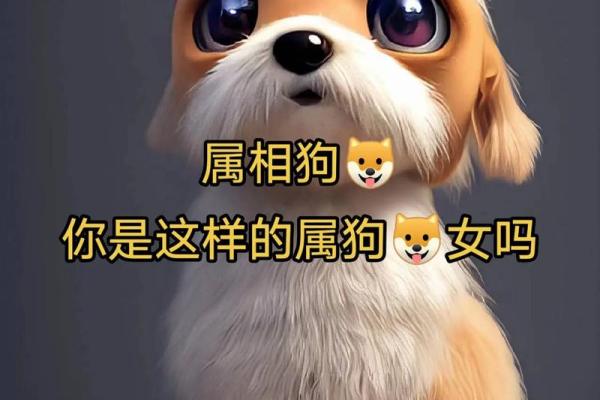狗和什么属相最配 狗女和什么属相最配
