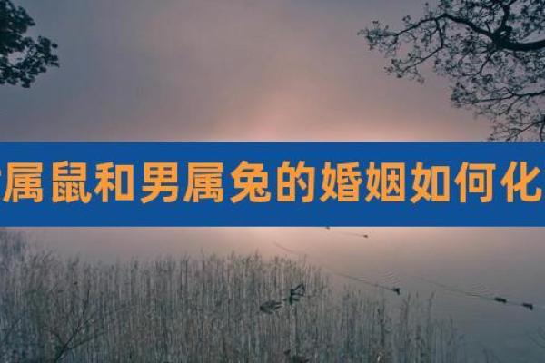 属鼠和属猪的婚姻相配吗(95猪女和96鼠男水火不容吗)