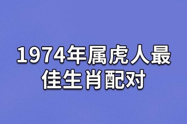 属虎2025年的运势及运程,属猪2025年的运势及运程