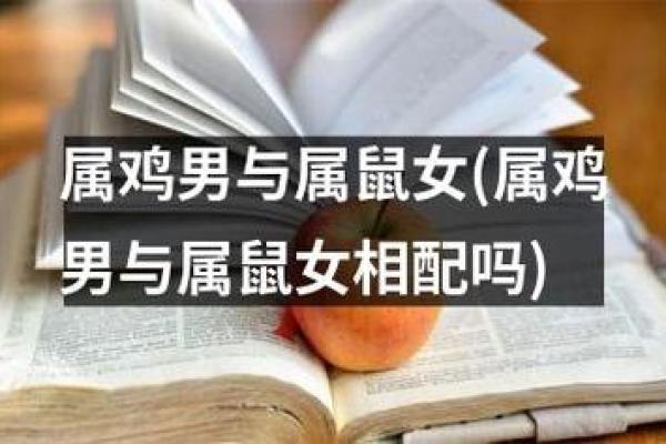 属鼠和属鸡的合不合 属鼠和属鸡的合不合财运