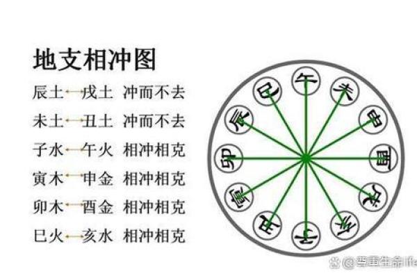 蛇三合和六个合生肖 蛇三合和六个合生肖六冲