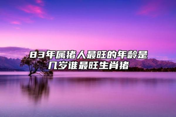 2030年属什么生肖(2031年属猪是什么命)