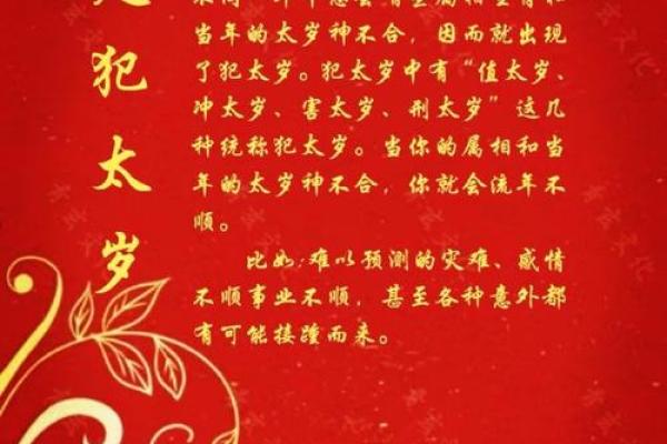 2025年五大生肖犯太岁(2025年五大生肖犯太岁图片)